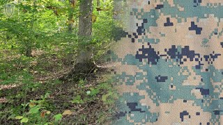 TPP F2 MARPAT  Digital Woodland Camo Test Early Fall Inner Woods [upl. by Einnol853]