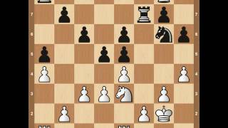 2016 World Chess Championship Game 10 Carlsen vs Karjakin [upl. by Felizio866]