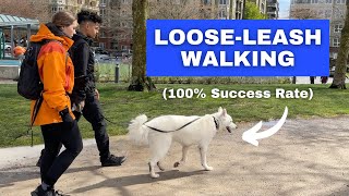 Train ANY Dog to Walk on a Loose Leash Stop Leash Pulling [upl. by Attenod]