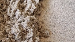 Beach Haven Sand Damp amp Dry ♥️ Please Read Description ♥️ [upl. by Aisitel]