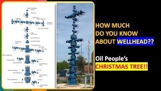 WHAT IS CHRISTMAS TREE amp WELLHEAD WHAT IS THE DIFFERENCE TYPES OF WELLHEAD AND CHRISTMAS TREE [upl. by Ranjiv]