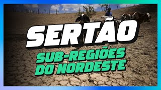 SERTÃO  SUBREGIÕES DO NORDESTE [upl. by Pyszka]