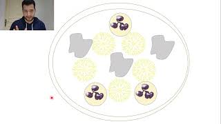 28Actinomyces israelii [upl. by Lenka]