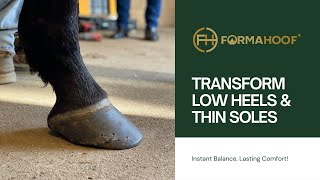 How to support horses with low heels and thin soles during their hoof recovery with FormaHoof [upl. by Alaunnoif]