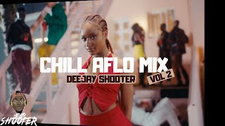 Chill Afrobeats Video Mix Vol 2  Ayra starr Kranium Burna Boy Stormzy Rema  Dj Shooter [upl. by Cherlyn]