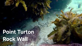 Underwater Point Turton Part Rock Wall  Adelaide Snorkel Tribe [upl. by Sumer]