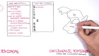 Cholinergic and Anticholinergic Toxicity Toxidrome [upl. by Notnef30]