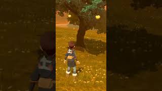 This is why you always check the trees shinypokemon [upl. by Zerelda]