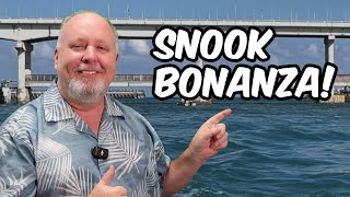 Sebastian Inlet Fishing Report BEST SNOOK ACTION [upl. by Yenitsed]