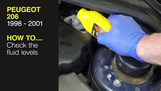 How to Check the fluid levels on the Peugeot 206 1998 to 2001 [upl. by Cornia727]