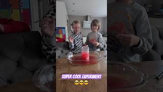 HEEL COOL EXPERIMENT 😱😎 shorts shortvideo shortsviral shortfeed grappig familie lachen [upl. by Abehsile]