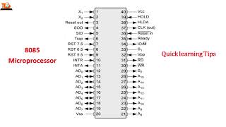 8085 Microprocessor Pin Diagram in 2 minutes Guaranteed Learn ShortcutTrick [upl. by Maggio]