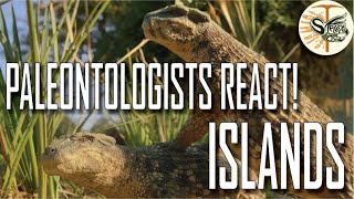 BACK AND BETTER THAN EVER  Paleontologists react to ISLANDS in Prehistoric Planet Season 2 [upl. by Warde]