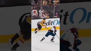 The real season is started nhl hockey viralvideo real icehockey ownedit [upl. by Marabel]