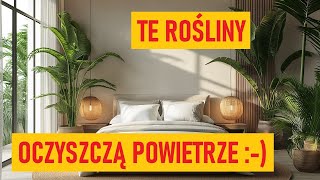 Kwiaty doniczkowe do sypialni Przy nich dobrze się wyśpisz [upl. by Ynnam]