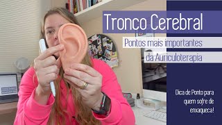 TRONCO CEREBRAL  PONTOS MAIS IMPORTANTES DA AURICULOTERAPIA [upl. by Vudimir709]