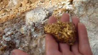 Mining for Gold Nuggets Talbot Vic Australia Part 3 [upl. by Sirrah139]