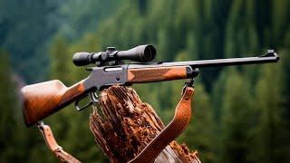 Most Accurate 22 Rifles You Should Buy in 2024 [upl. by Tnomed]