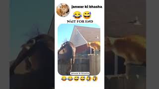 ja war ki bhasha😅😂😅😂😭😅 viral myvideo 😂😂😂😅💫😅😂 [upl. by Nollie]