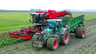 Bieten oogst met AGRIFAC Hexxact OptiTraxx door Loonb Voshart amp Veltman [upl. by Berty17]