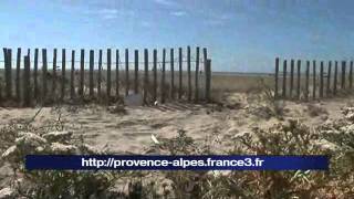 Camargue  les quotecogardesquot du parc sur les plages [upl. by Acir]