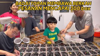 ANGIN TOPAN MEMBAWA BERKAH PESANAN TEMBUS 300 BOX PAPA SAMPAI TURUN TANGAN [upl. by Domini13]