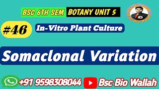 Somaclonal Variation in Pant Tissue Culture l Causes Application [upl. by Mallis]