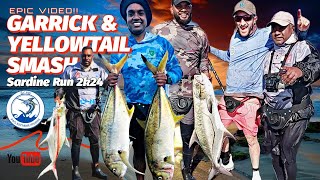 SARDINE RUN 2024  Jig and Drop  Garricks and yellowtail smash with guest angler [upl. by Aurilia]