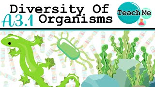 A31  Diversity Of Organisms  IB Biology SLHL [upl. by Eohce]