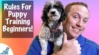 5 IMPORTANT Rules To Remember For Puppy Training BEGINNERS [upl. by Anagnos998]