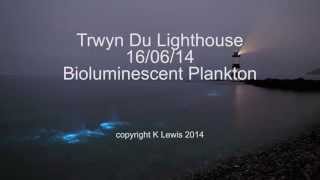 Bioluminescent Plankton timelapse [upl. by Ailisab]