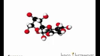 Sucrose 3d Molecular Model by Indigo Instruments [upl. by Araec]