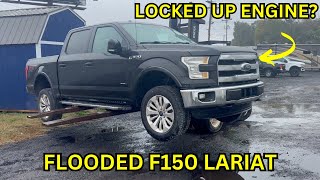 Flooded Ford F150 Lariat With No Key Super Risky Buy Will It Start [upl. by Eadahs921]