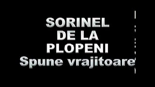 SORINEL DE LA PLOPENI SPUNE VRAJITOARE [upl. by Ennelram550]