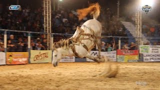 Rodeio de Santa Albertina 2018  FINAL EM CUTIANO [upl. by Suiravad]