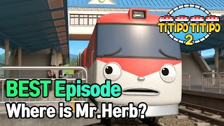 TITIPO S2  Where is MrHerb  BEST episode  EP12 [upl. by Lyrahc]