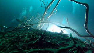 Cenote Angelita  Diving The quotUnderwater Riverquot [upl. by Sorips]