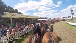 Titanen der Rennbahn 2015  Quadrille 1 [upl. by Jessa]