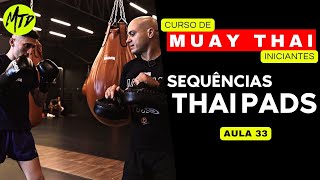 MUAY THAI INICIANTE  AULA 33 [upl. by Eedeed]