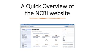 How to Use the NCBI’s Bioinformatics Tools and Databases [upl. by Jehias]