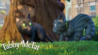 Meet Sock Tabby McTats Girlfriend 💕 GruffaloWorld Compilation [upl. by Lunette967]