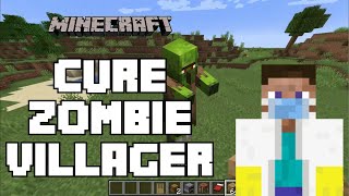 How To Cure A Zombie Villager In Minecraft 2024  Minecraft Tutorial [upl. by Annaehr]