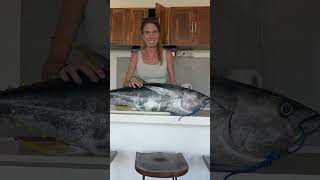 Marlin Attacks Tuna catch amp cook [upl. by Amol92]