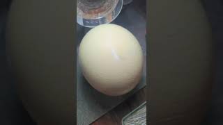 🥚🥚🥚 Daily Egg Carving Shares eggcarving carving asmr [upl. by Kidder]