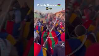 boys to men 🇲🇺🥷🏔ndebelesongs ndebele africa shorts song shortvideo lndebele culture [upl. by Anaihs]