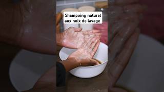 Shampoing naturel aux noix de lavage [upl. by Ahael]