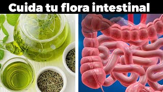 Cómo repoblar tu flora intestinal en 3 días [upl. by Peters]