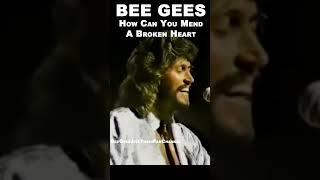 BEE GEES  LIVE 1979  How Can You Mend A Broken Heart beegeesjivetubin music love barrygibb [upl. by Ffej]