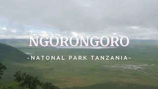 Ngorongoro National Park Tanzania [upl. by Matt201]