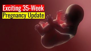 35 Weeks Pregnant Your Complete Guide to the Final Stretch of Pregnancy [upl. by Nylanna979]